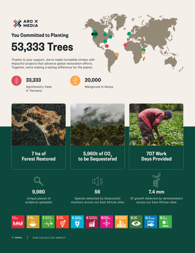 Our Partner Impact Report for 2024 via veritree